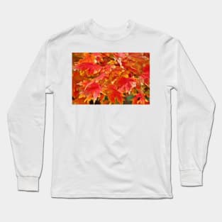 Autumn Leaves Long Sleeve T-Shirt